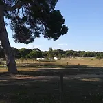 Beach Falesia Alfamar