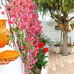 Villa Tibouchina