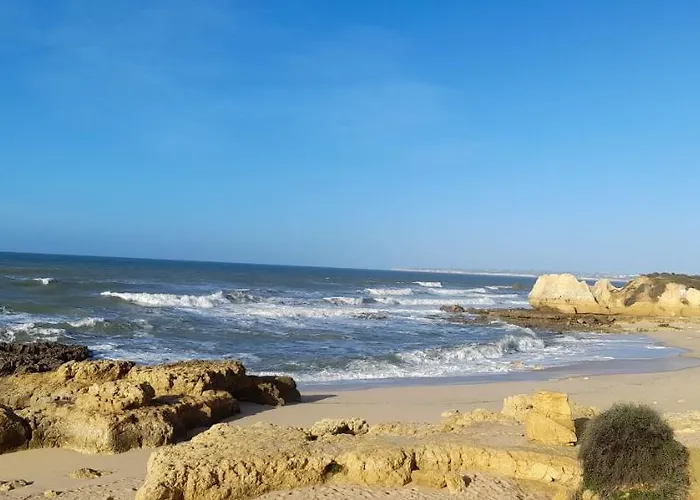 Les Jardins Da Gale 500M De La Plage