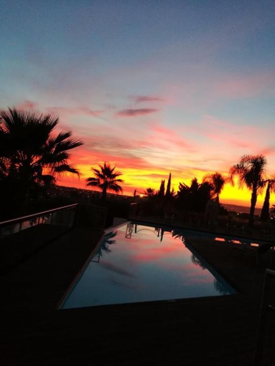 Sunset Patroves D *