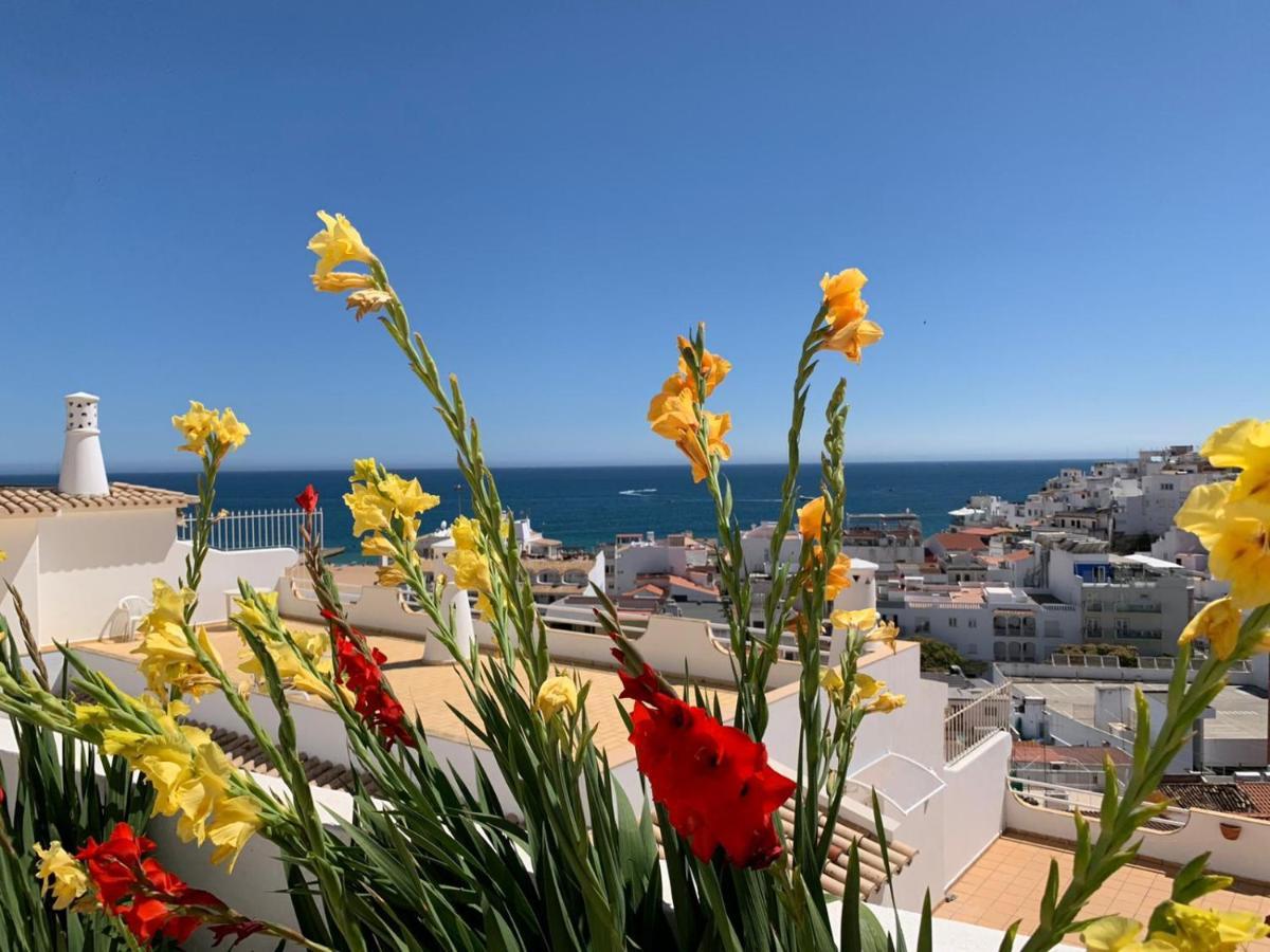 Apartment Cerro Branco *