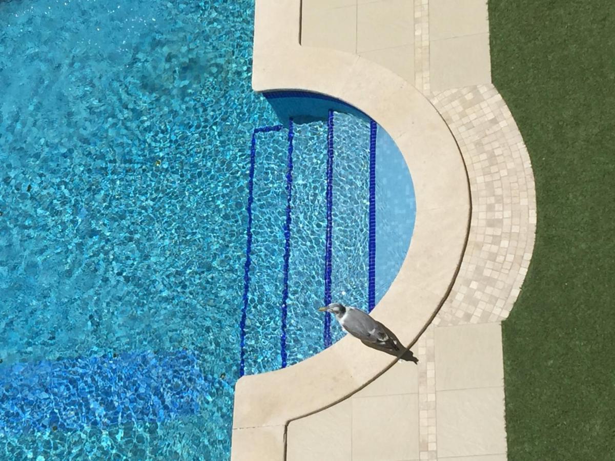 3 Min Walking To Peneco , + Pool + Wifi Apartment *