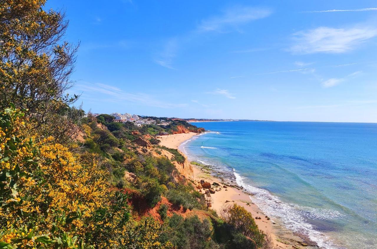 Luxury Ocean View By Be Cherish Apartment Albufeira