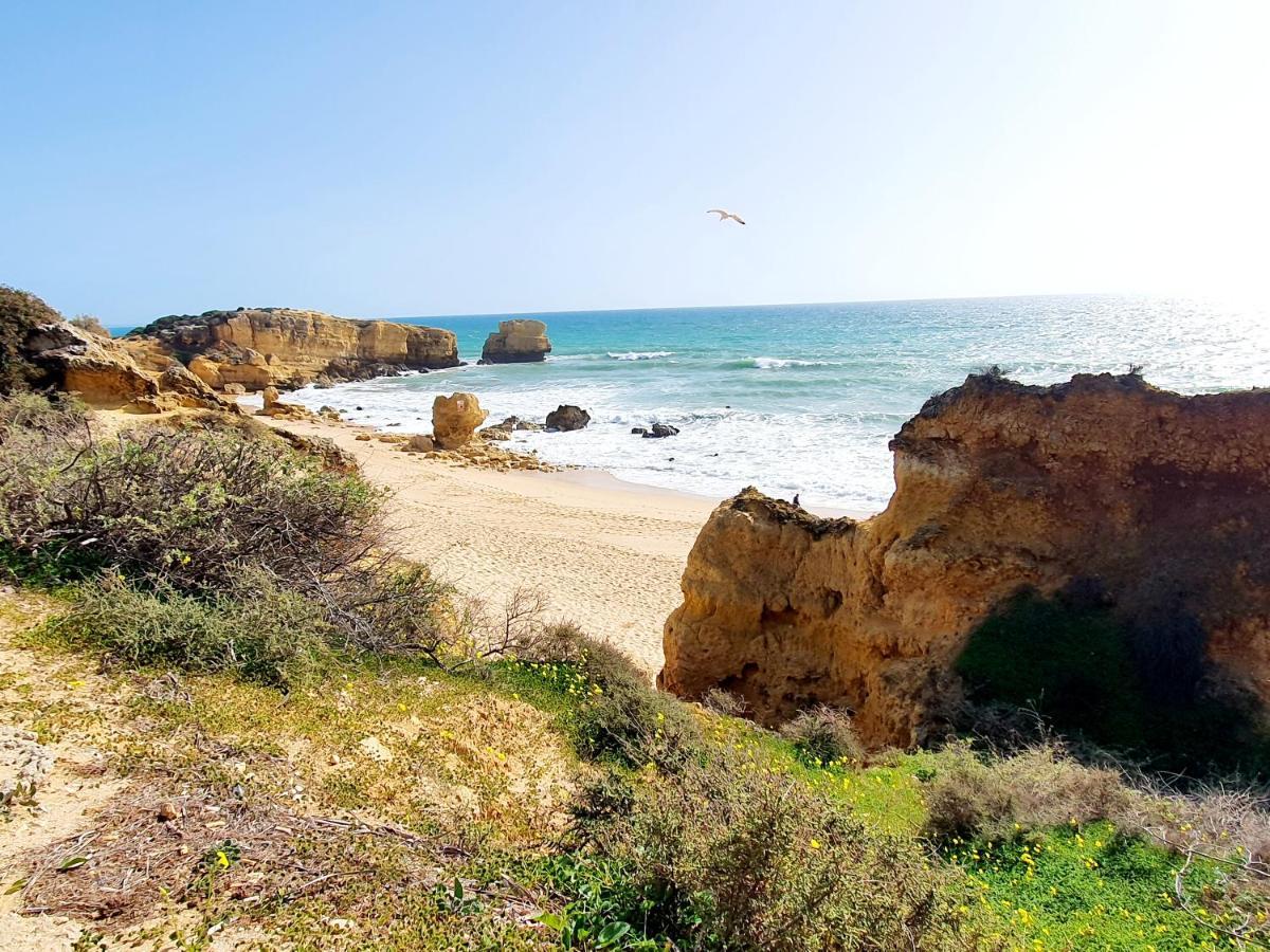 Canameira Beach - Holiday home