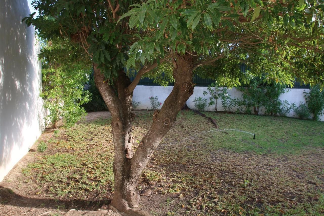Villa Jacaranda - 550m From The - Free Wifi - By Bedzy Albufeira
