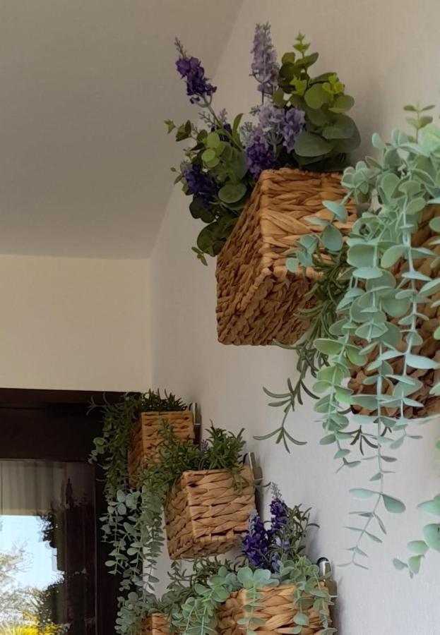 Excelstay - Balaia Apartment *