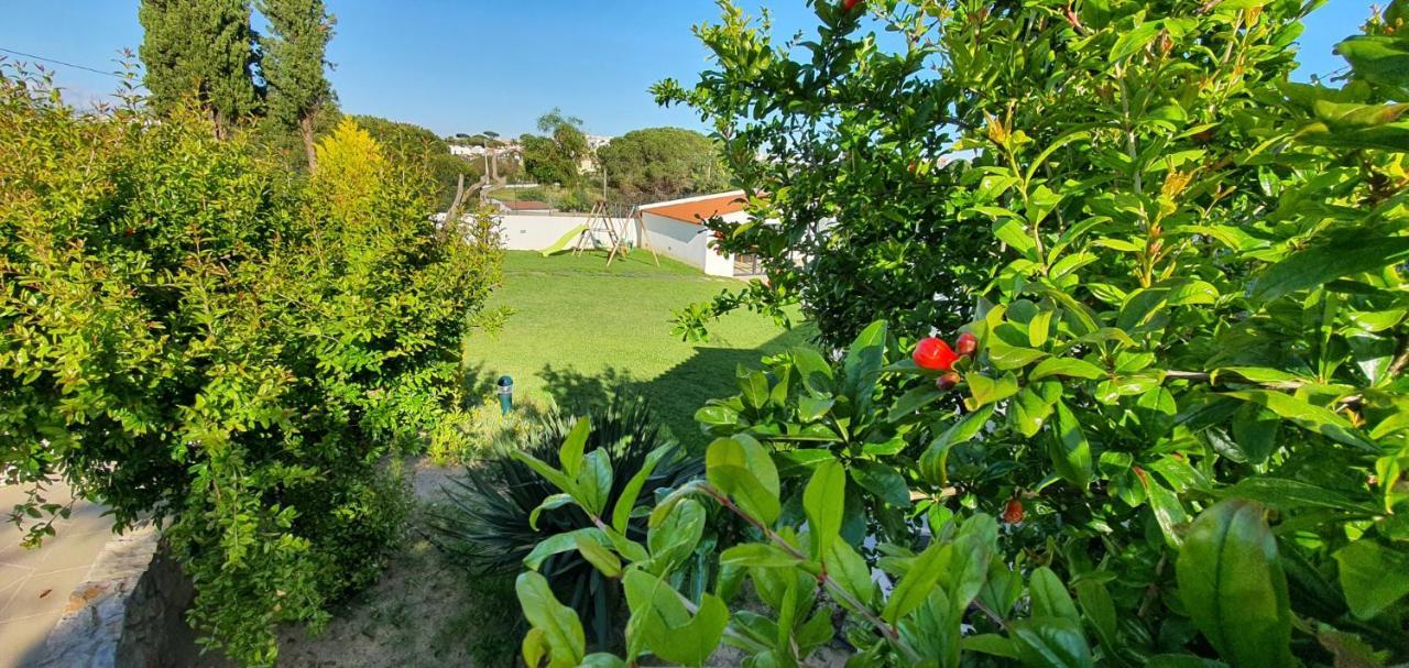 Villa Margarida By Laranjal *