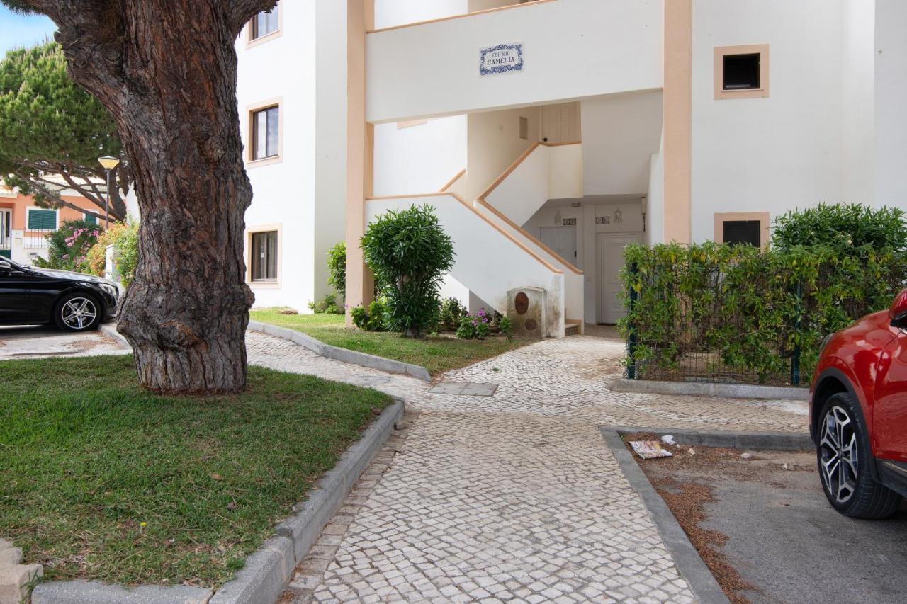 Jardins Da Falesia