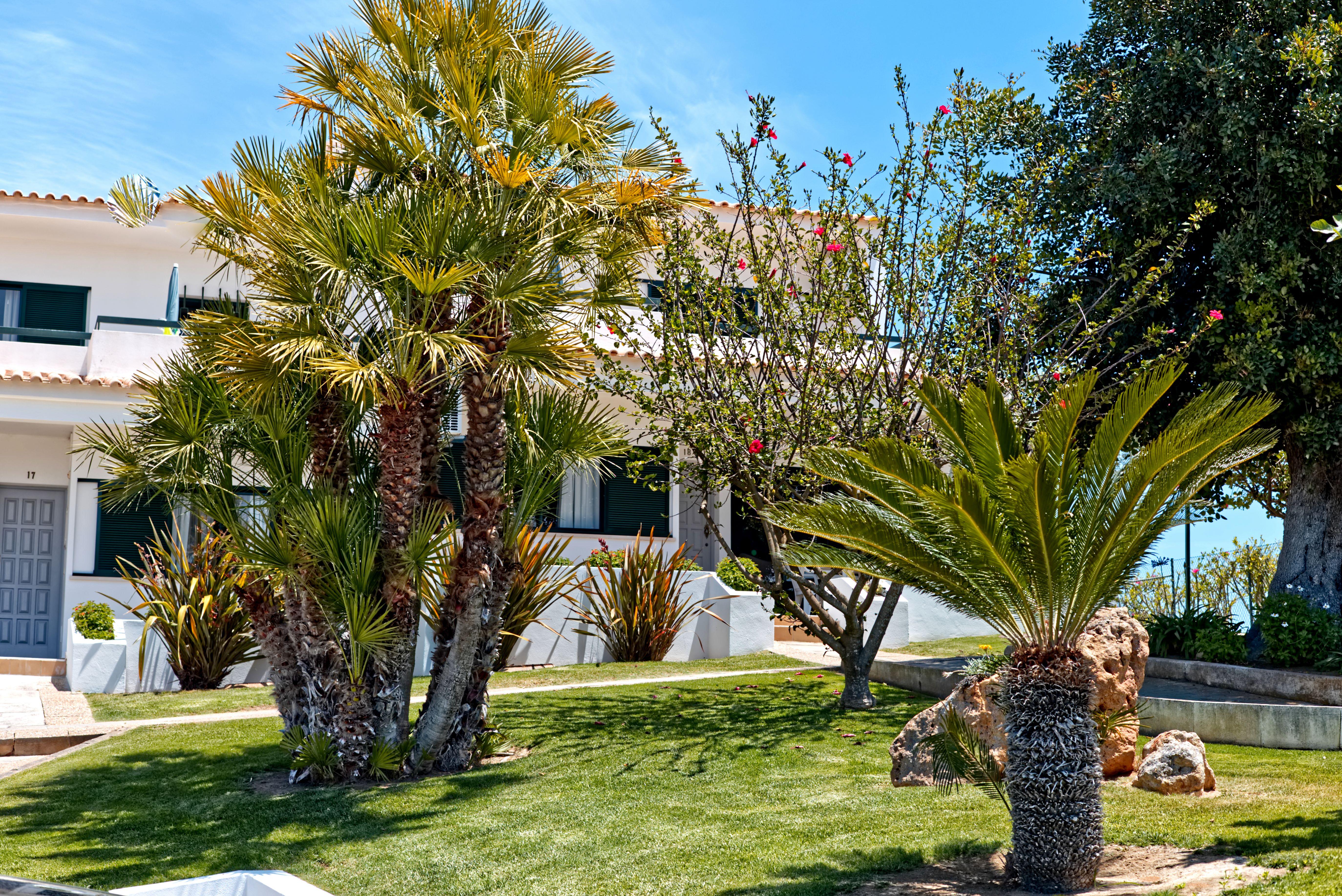 Parque Monte Verde Holiday park Albufeira