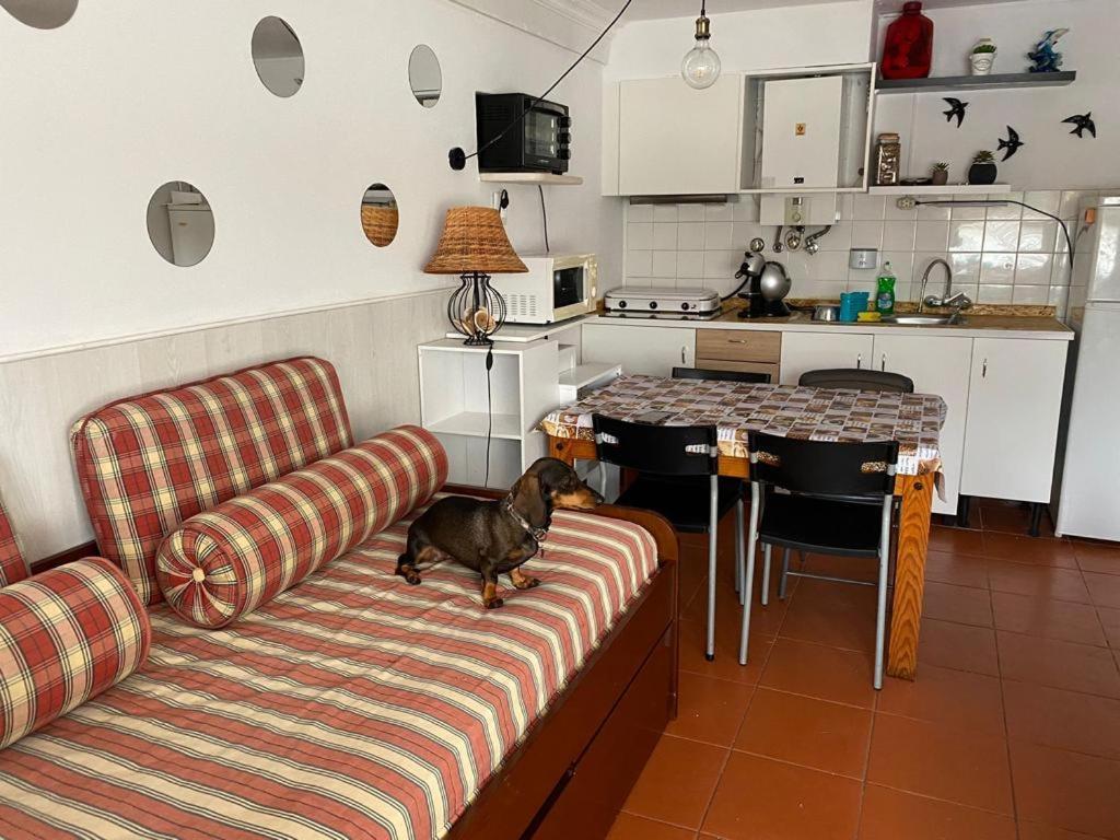 T1 Condominio Privado Em Montechoro Apartment Albufeira