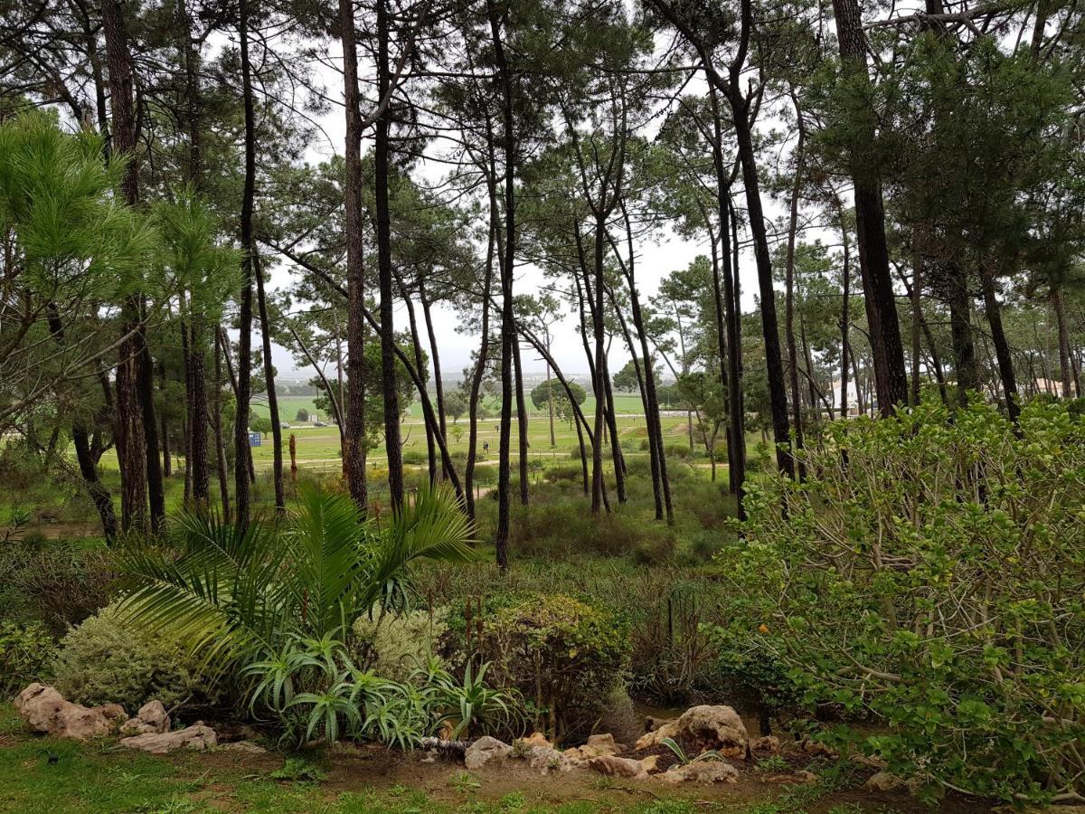 Excellent T2 With Pools 400m Falesia Apartamento *