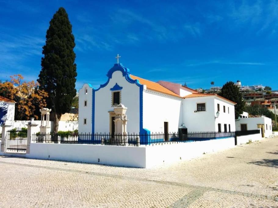 Marina Garden Palm Tree By Be Cherish Albufeira