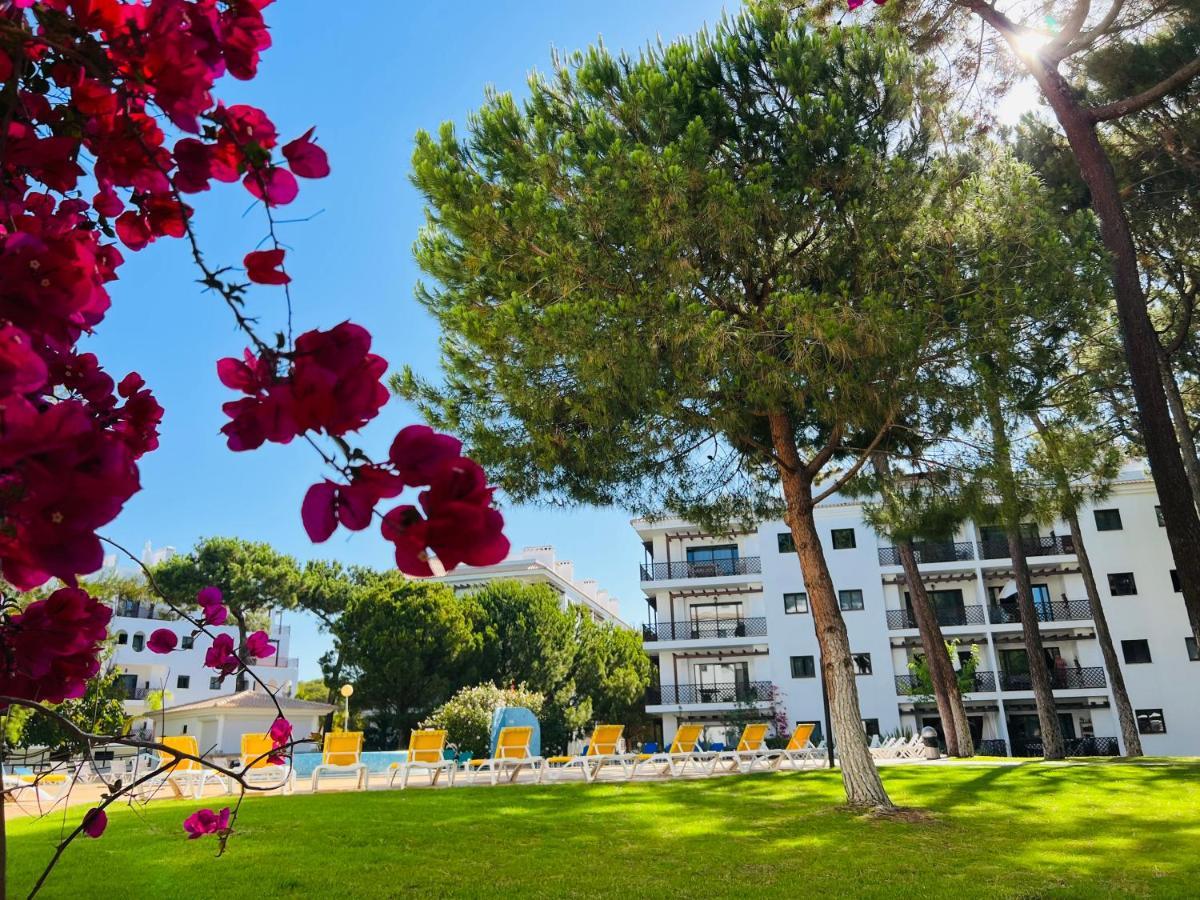 Apartment Golden Blue Falesia