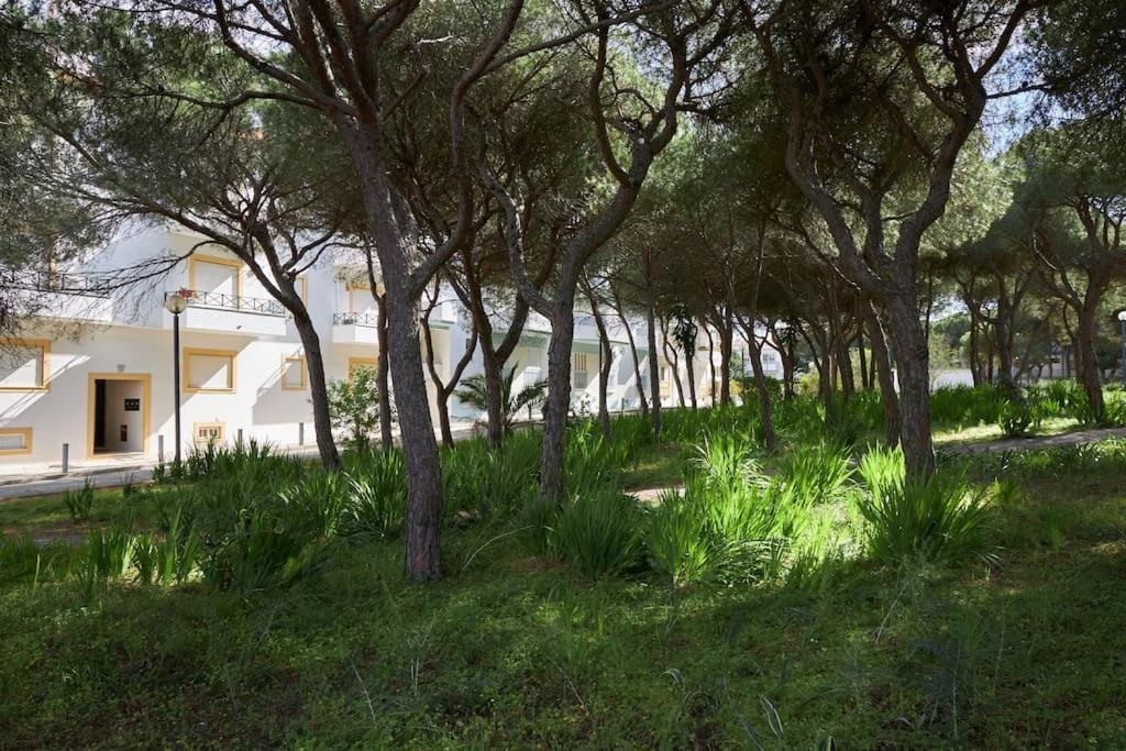Seaside Serenity Beachside Albufeira