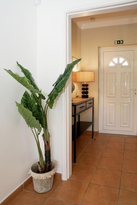 Jardins Da Gale House Holiday home *