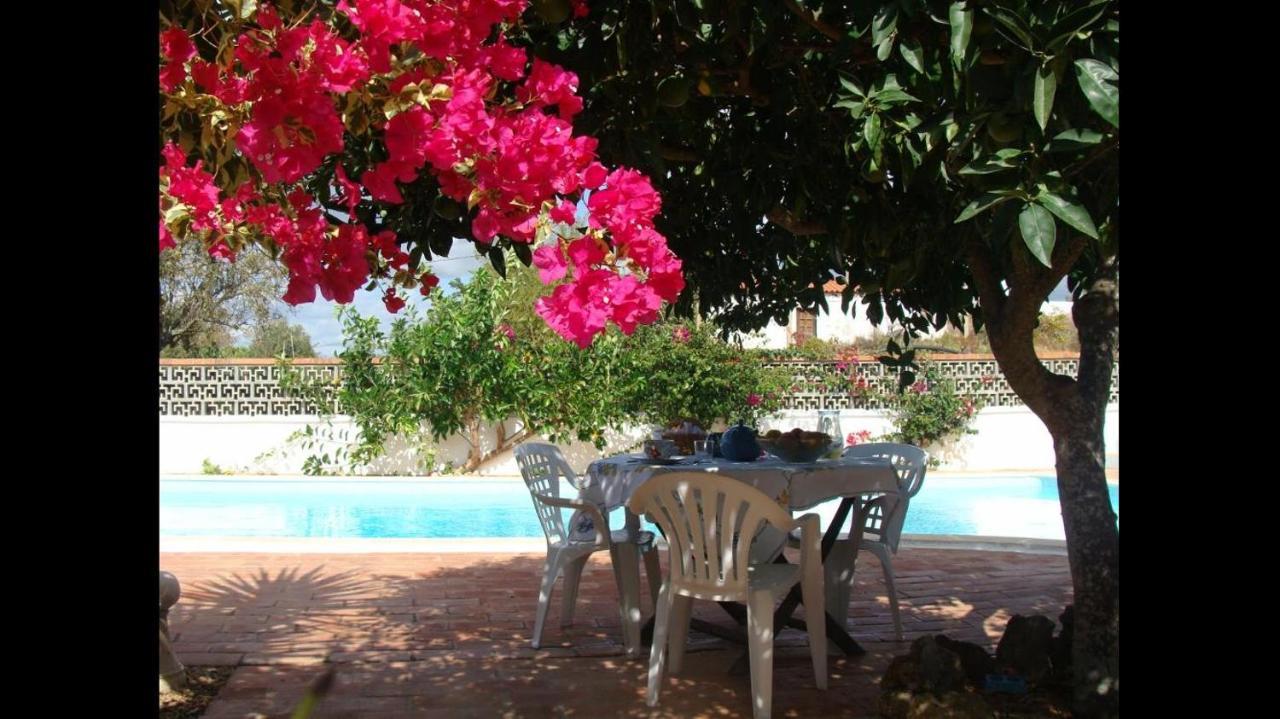 Lugar Andorinhas Holiday home *