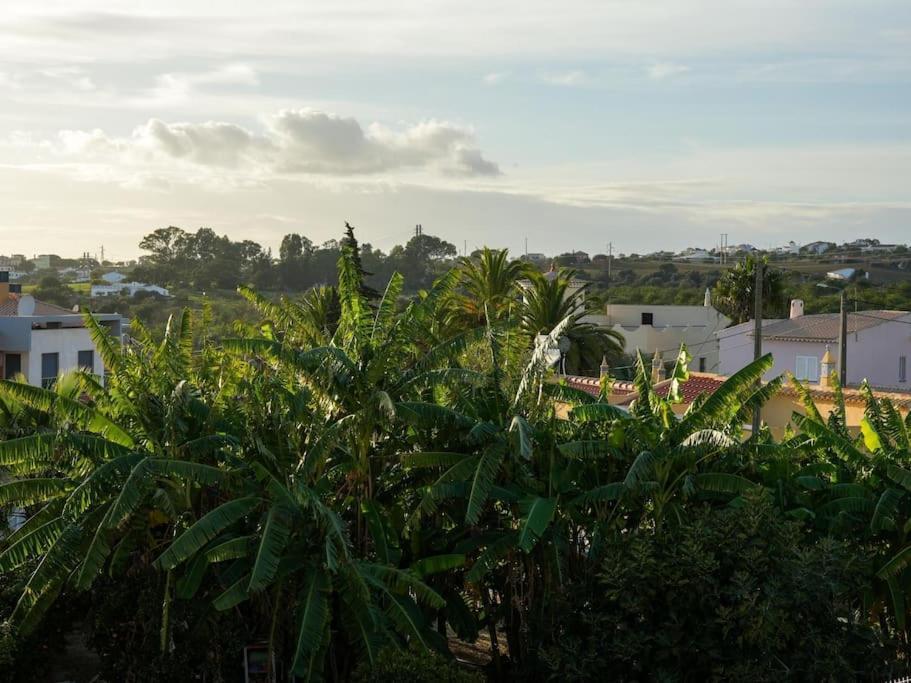 Pousada Magnolia Ab House - Pool View & Privat Garden & Garage