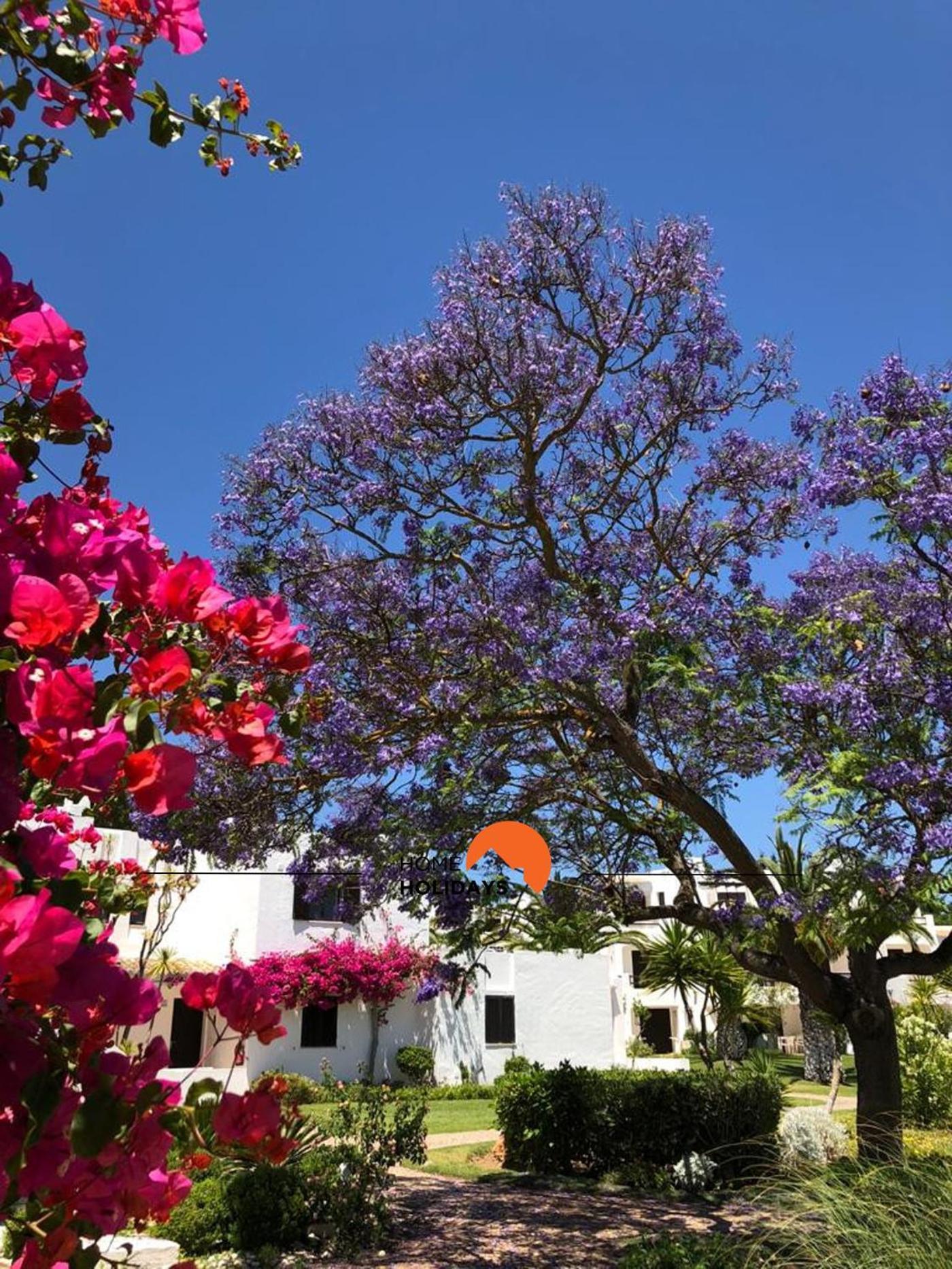 Apartamento #122 T1 Aconchegante Em Albufeira By Home Holidays