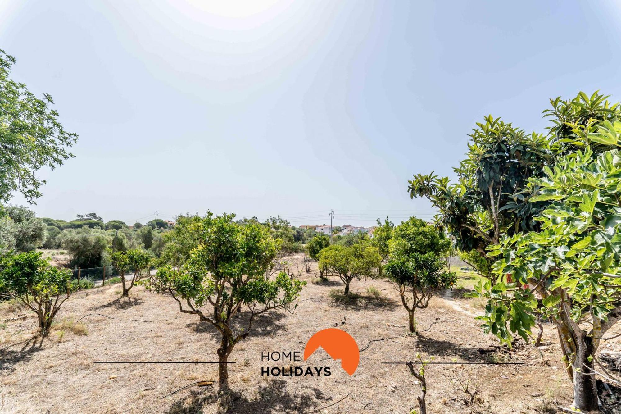 Ferienhaus #179 Monte Churras 2 By Holidays Albufeira