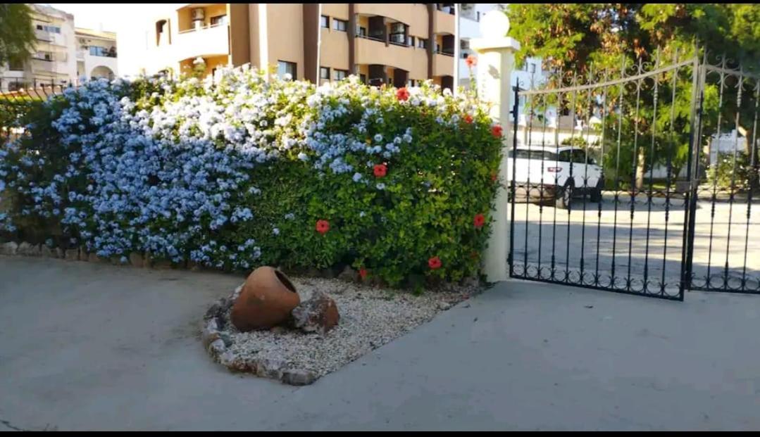 Appartement Casa Kari Albufeira
