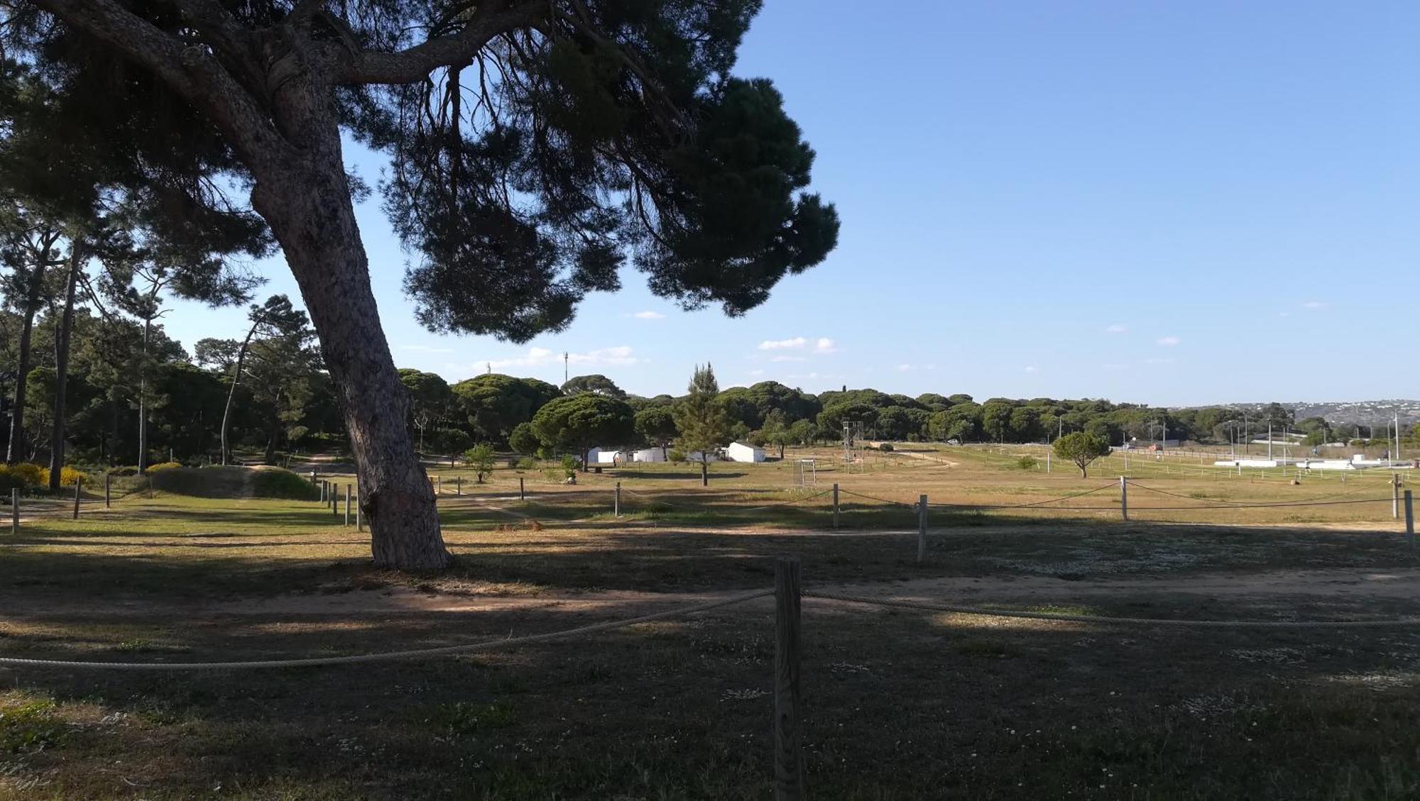 Apartment Beach Falesia Alfamar