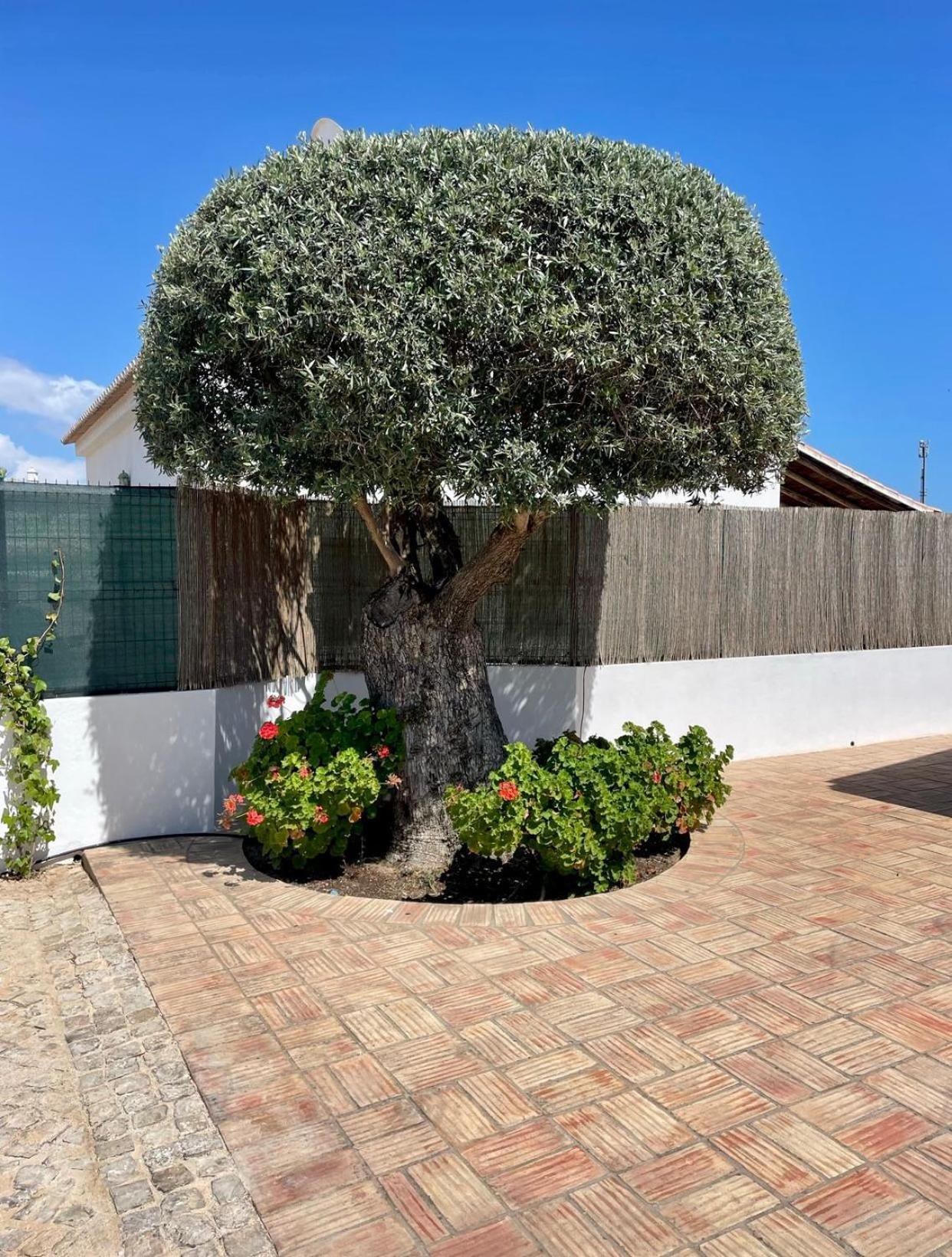 Ben - Private Pool Garden, Sun Day Albufeira