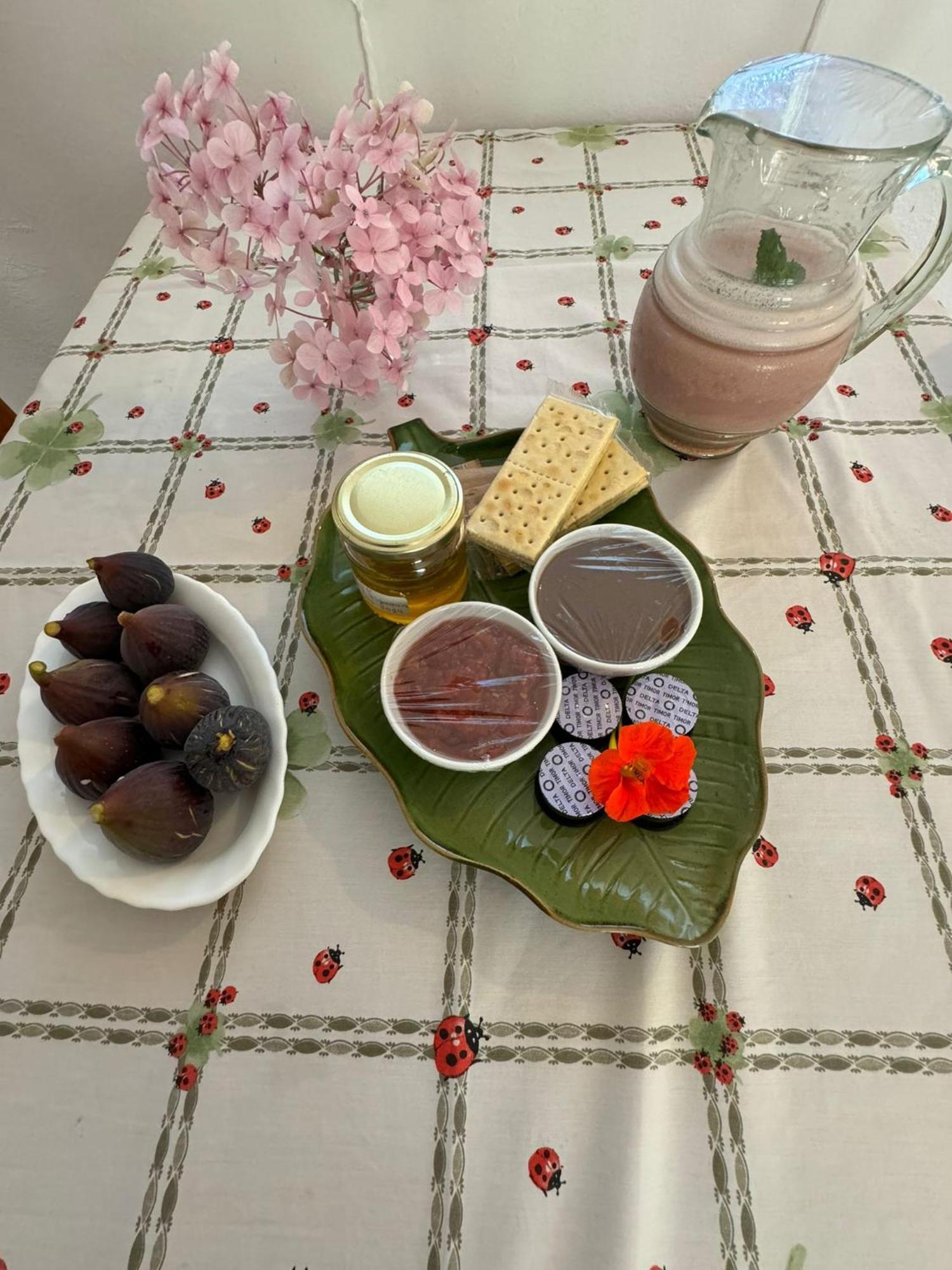 Lugar Andorinhas Holiday home