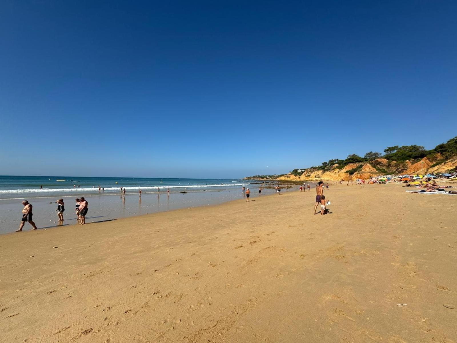 Lugar Andorinhas Albufeira