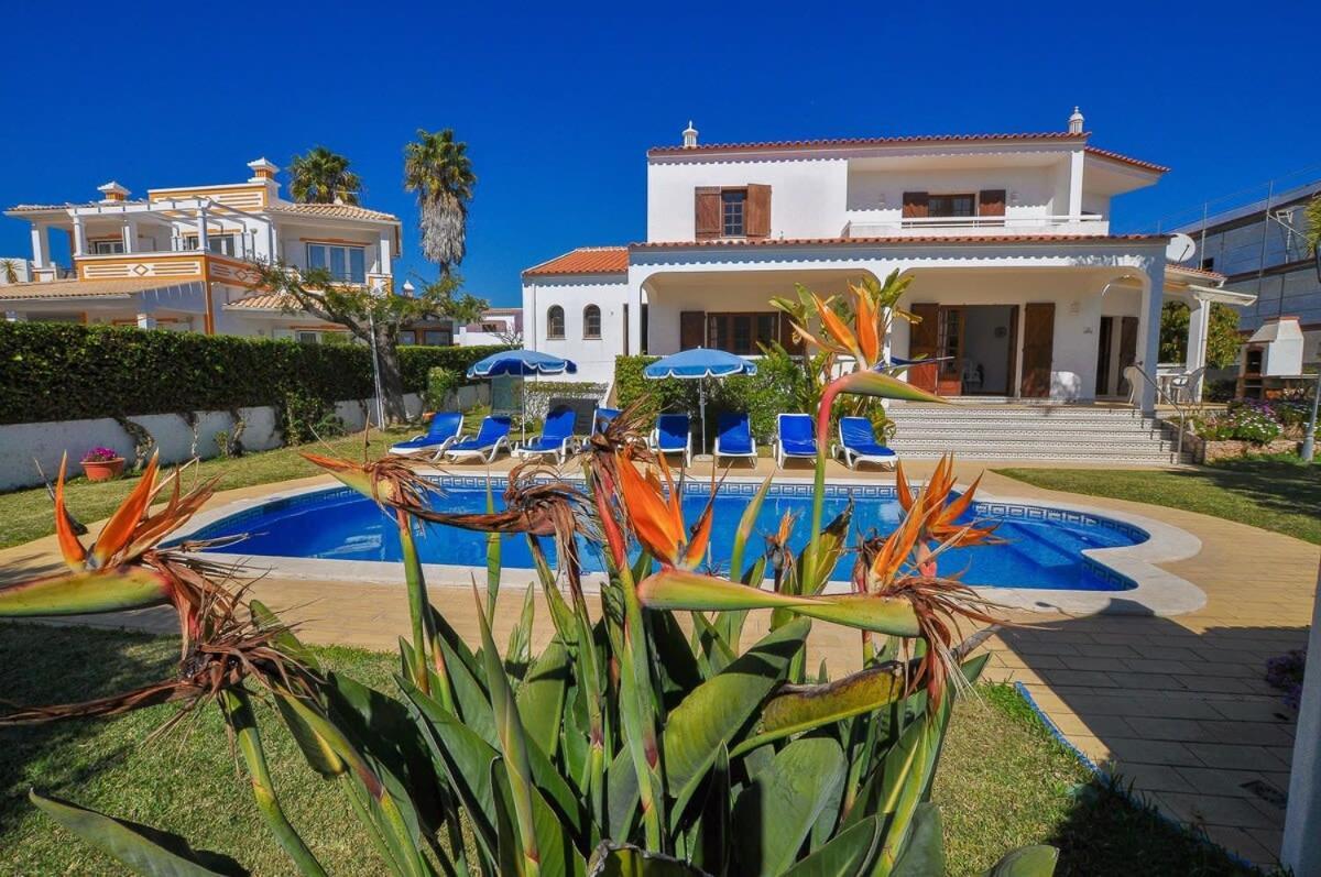 Casa Paulo - Great Location Holiday home Albufeira