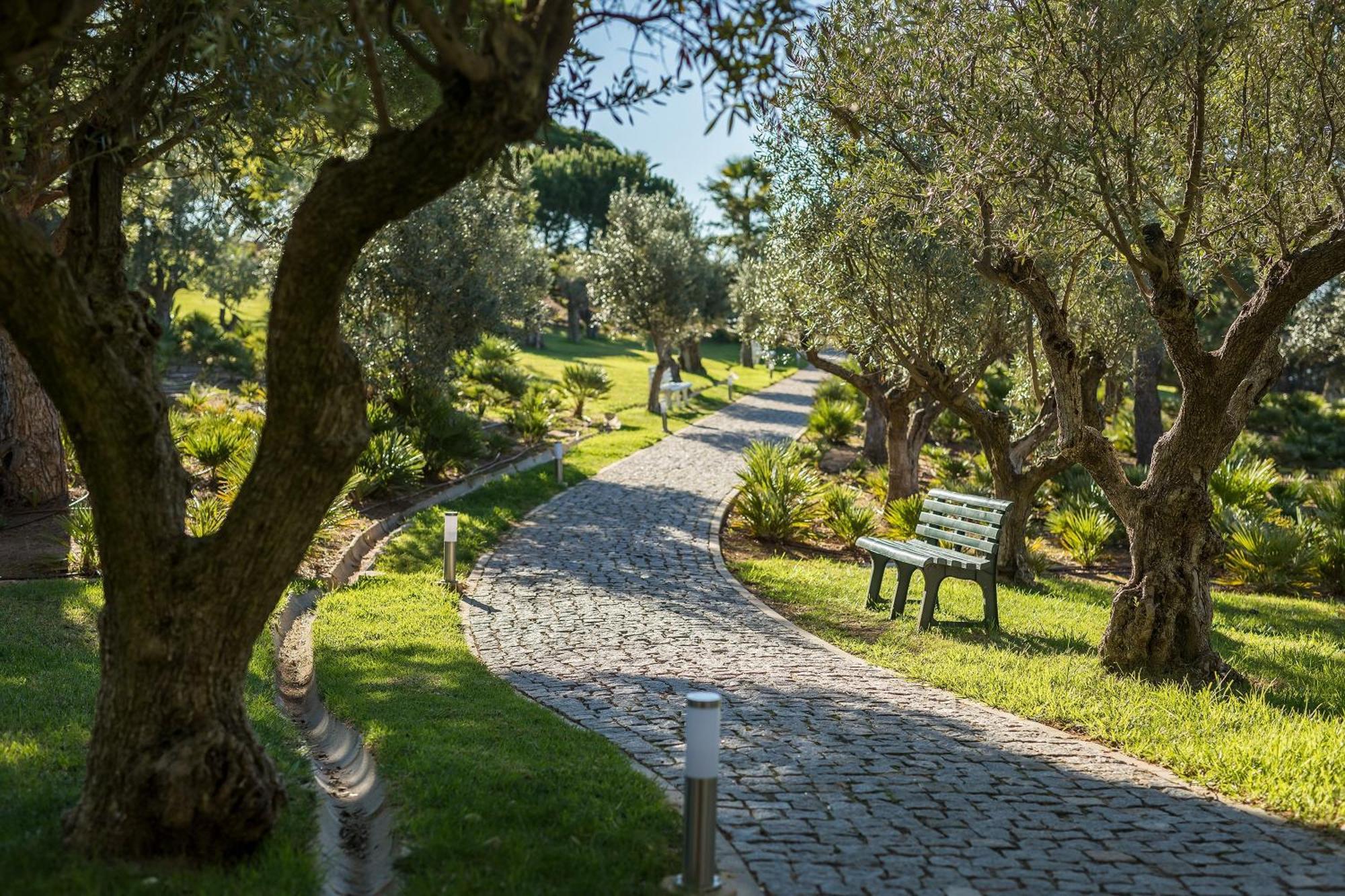 Kimpton Atlantico Algarve By Ihg 5* Albufeira