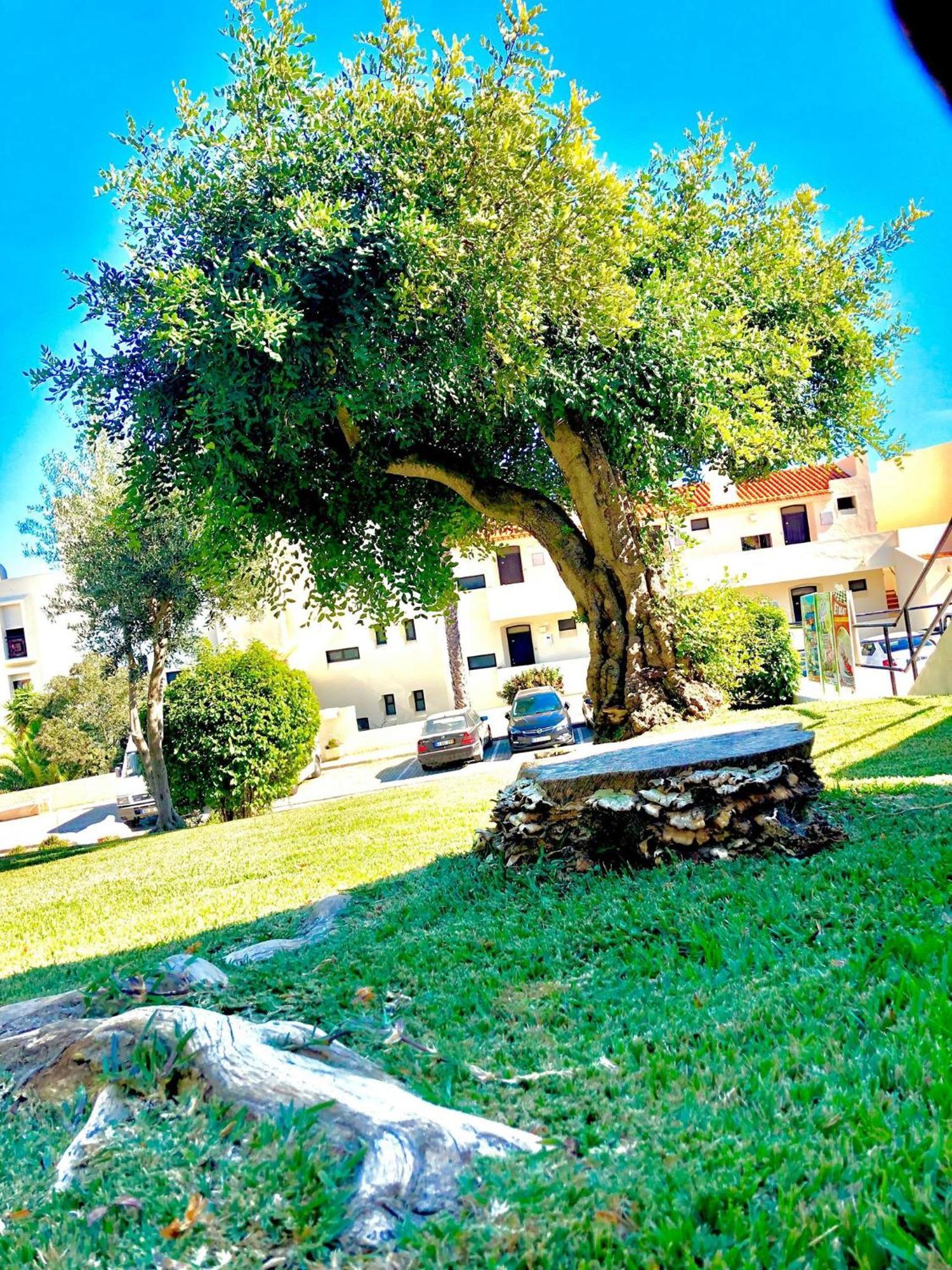 Aparthotel Jardim - Turisticos Albufeira