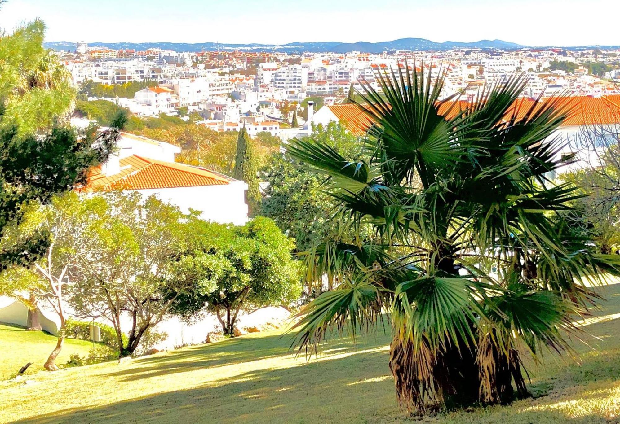 Jardim - Turisticos Albufeira