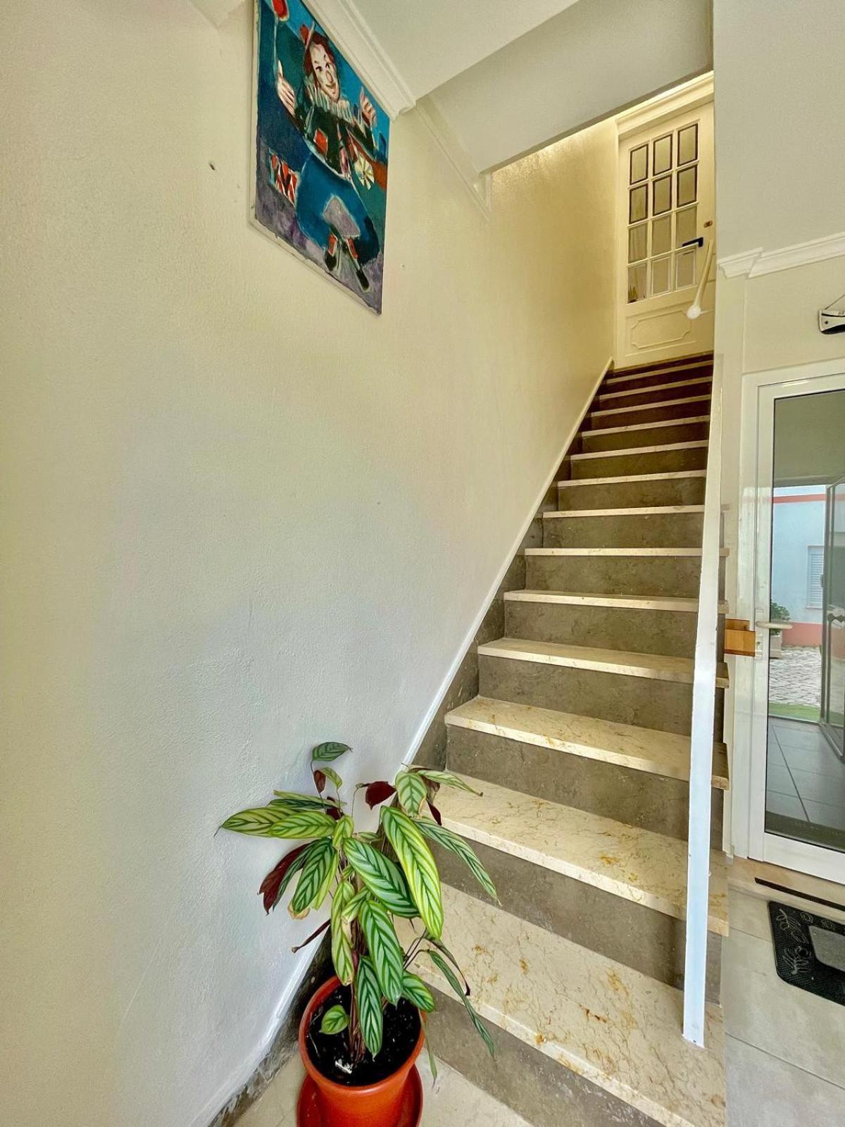 Casa Palhaco