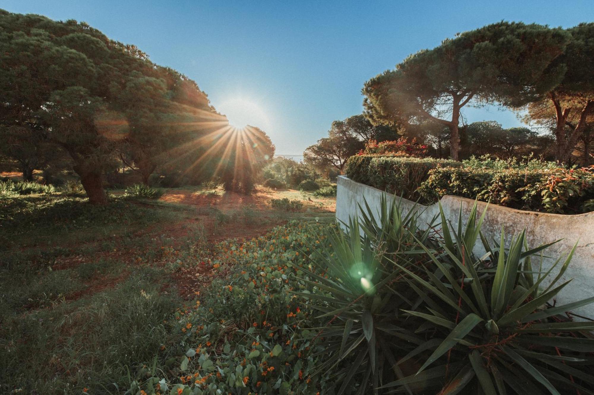 Casa Velha - Adults Friendly * Albufeira