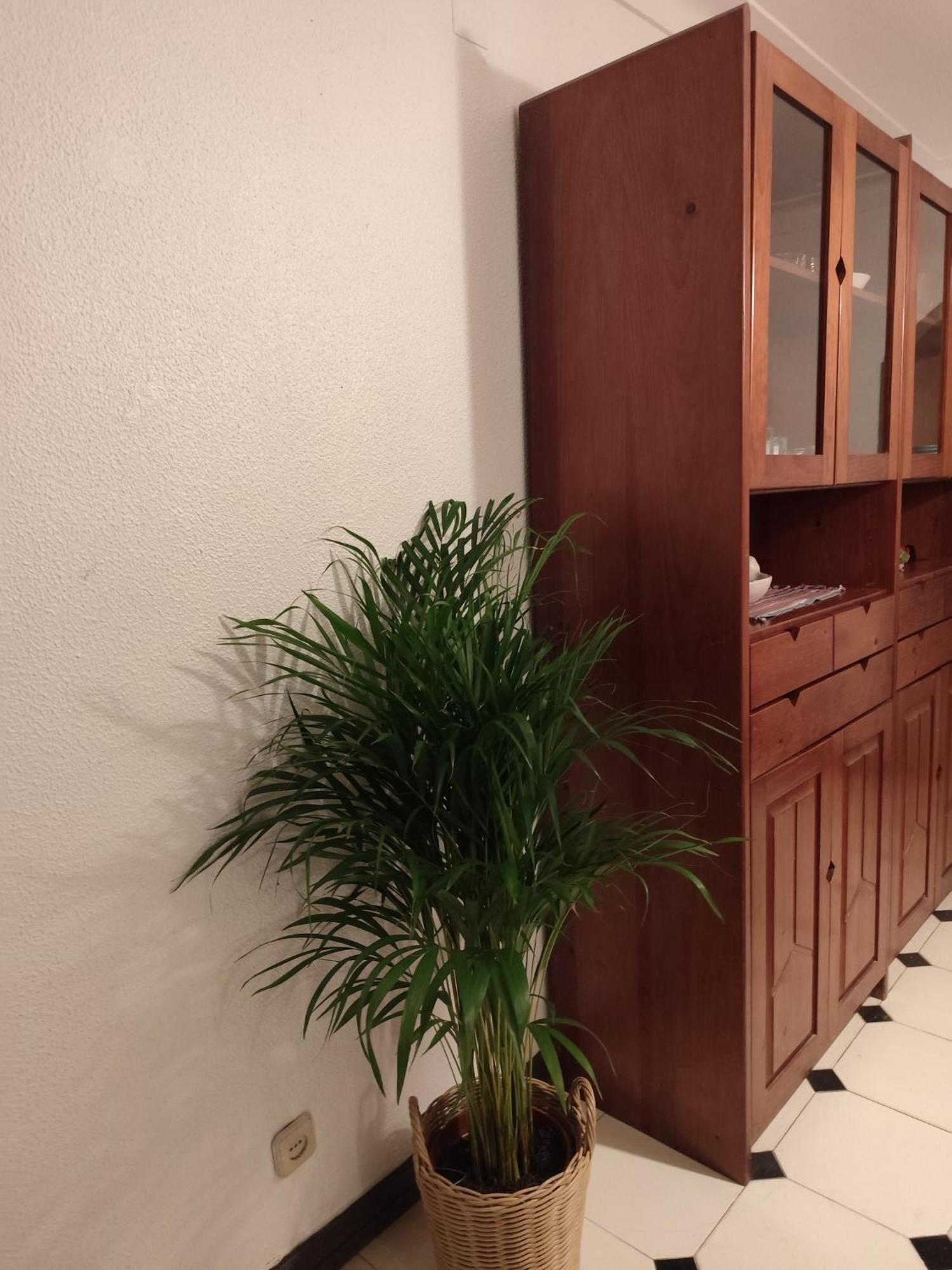 Casa Flores *
