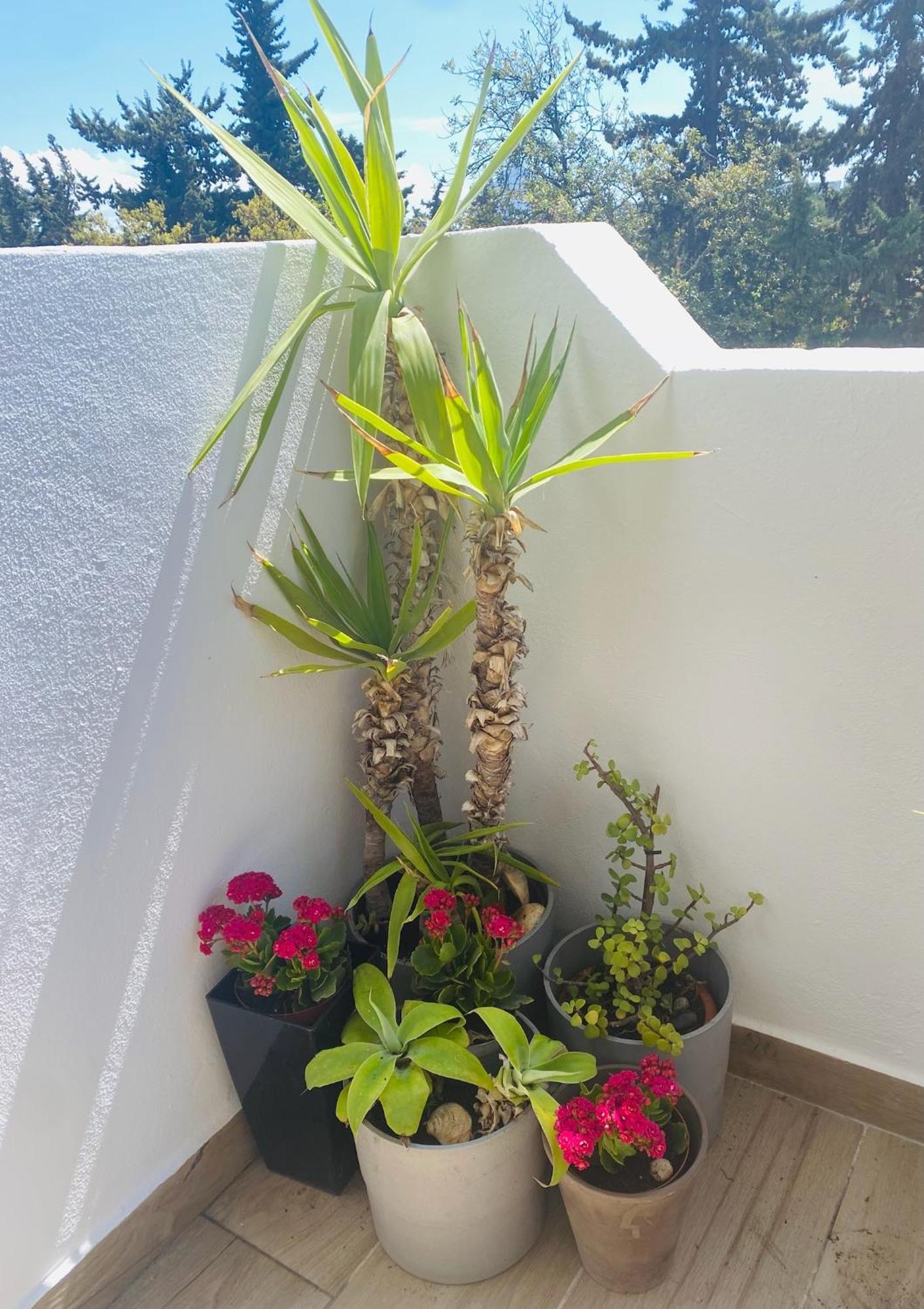 Apartment Excelstay - Balaia *