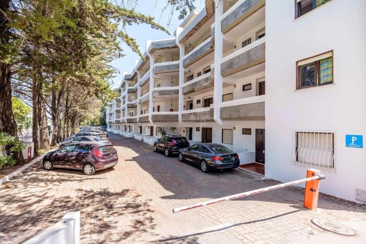 Laurus * Albufeira
