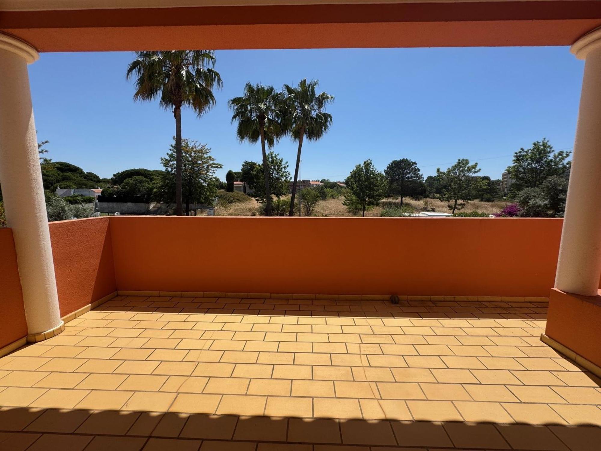 Palm Albufeira