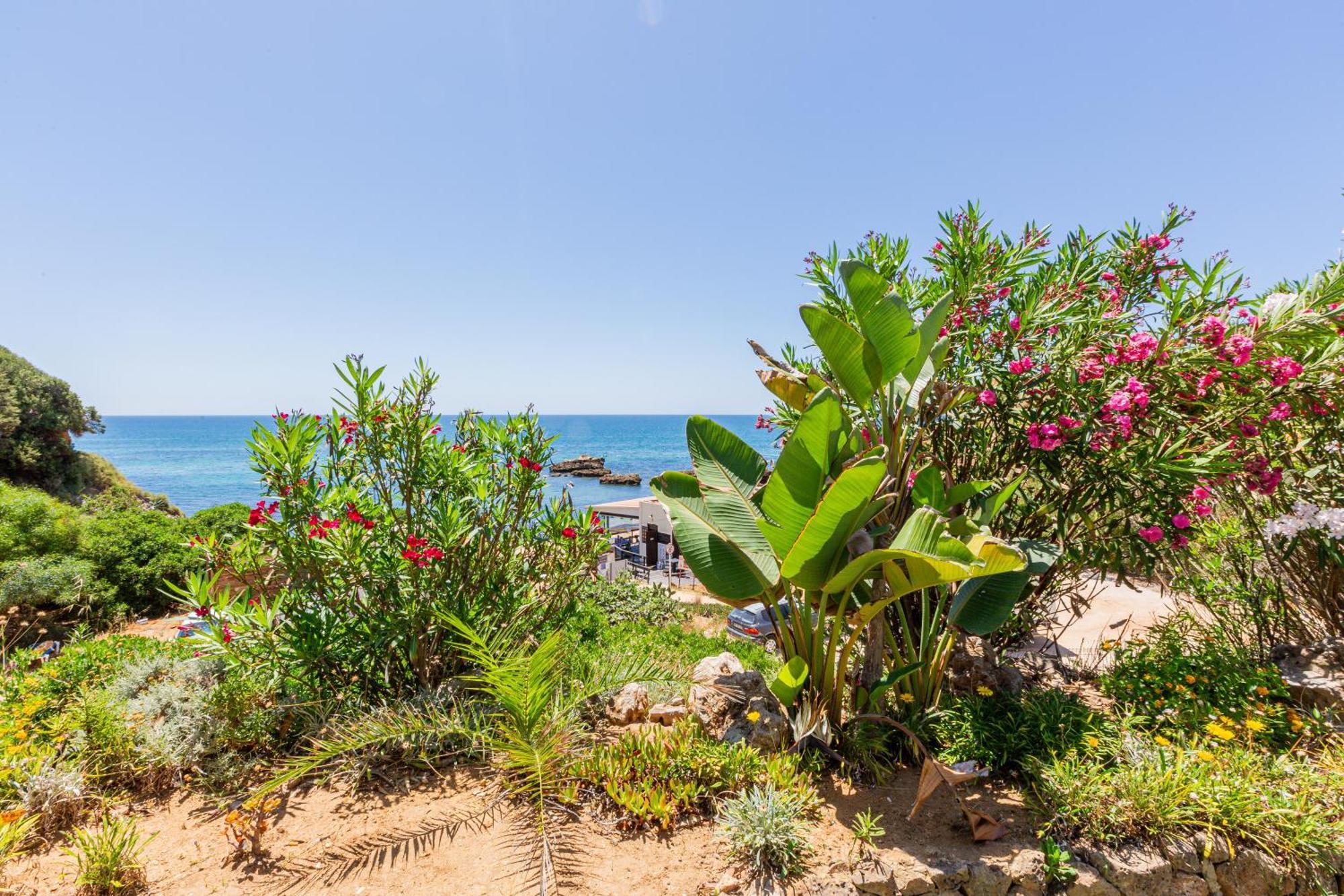 Apartment Beachfront Dos Aveiros Albufeira