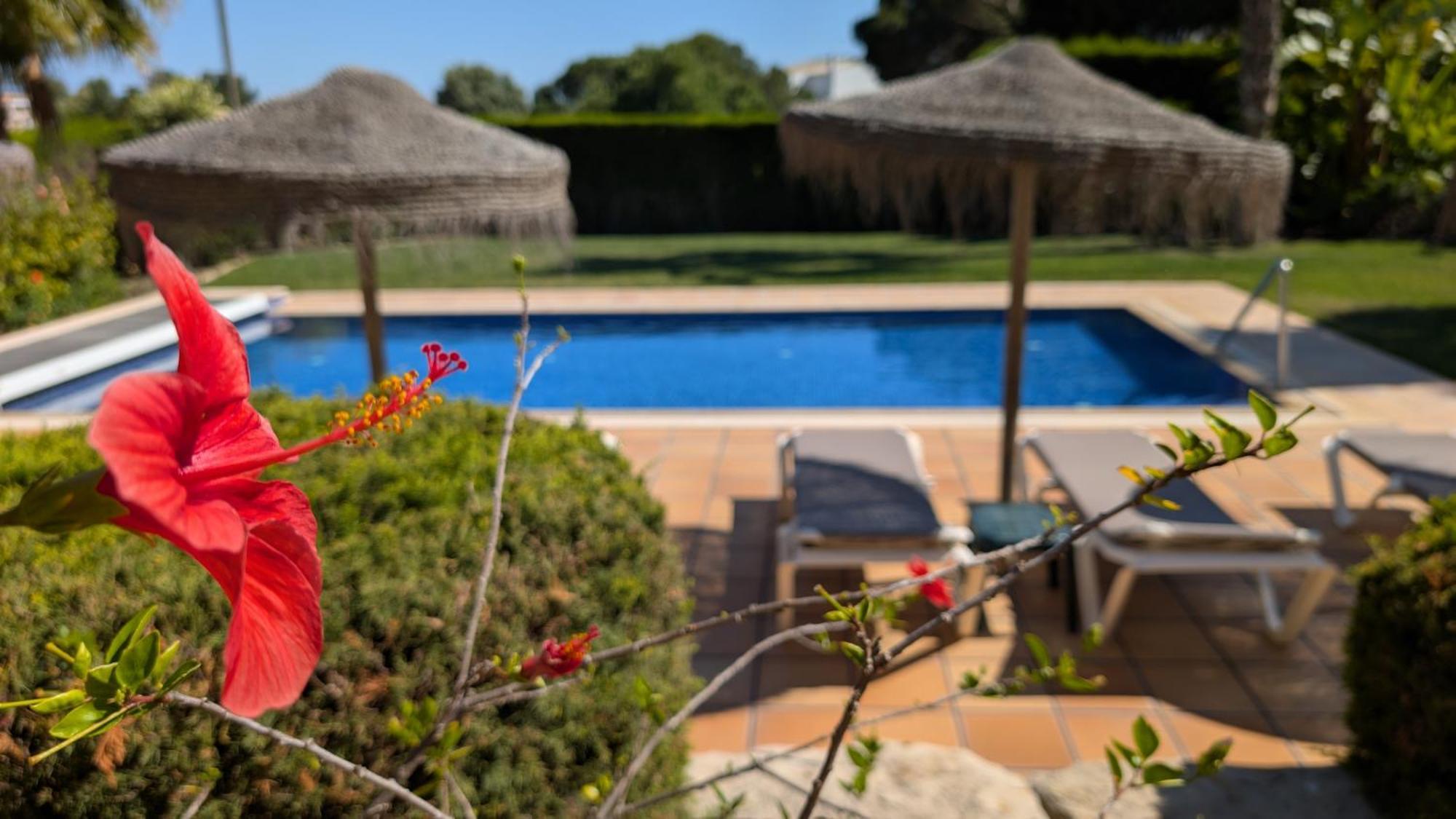 Casa Dos Pinheiros, Sesmarias, Albufeira Holiday home Albufeira