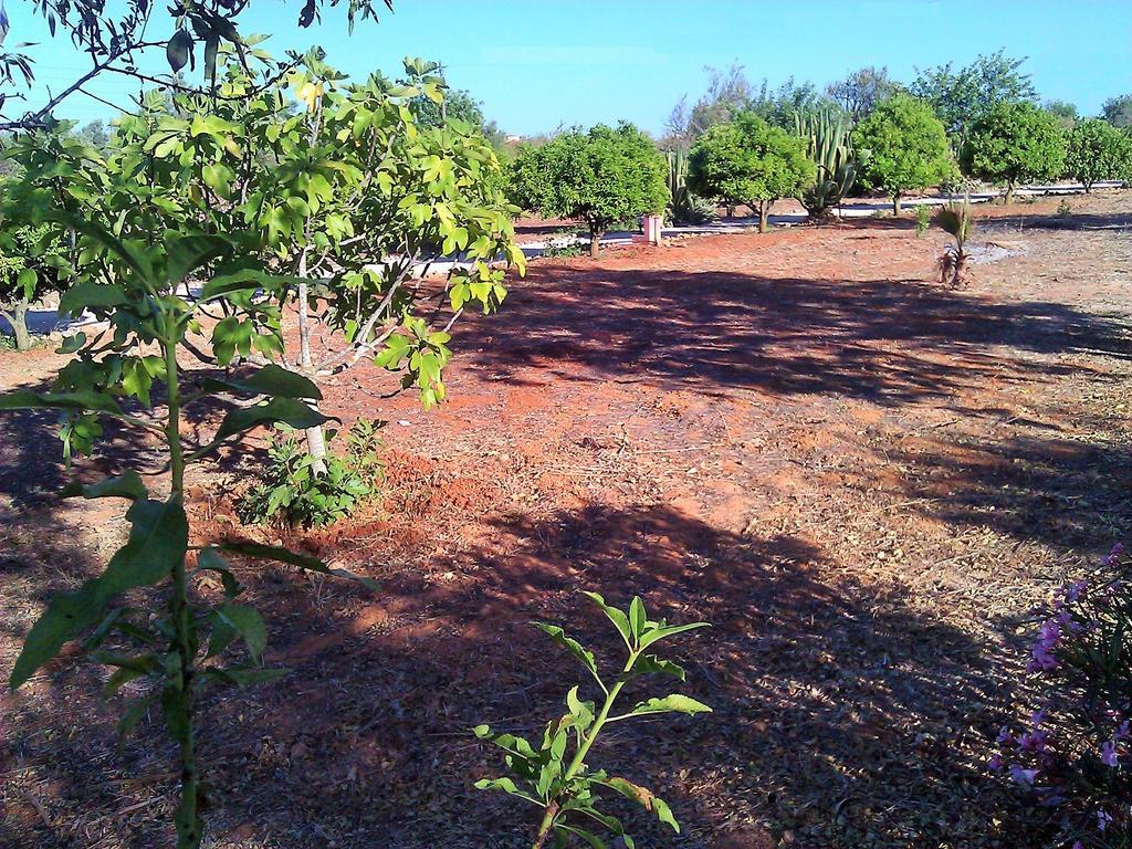 Quinta Casalinho Casa de férias *
