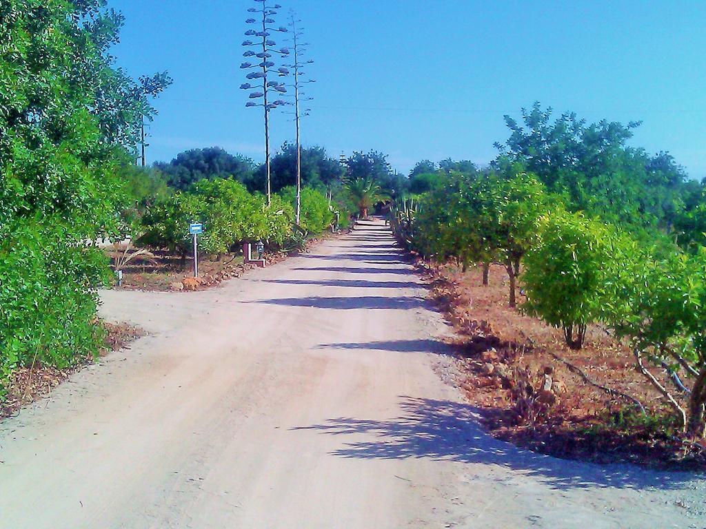 Casa de férias Quinta Casalinho