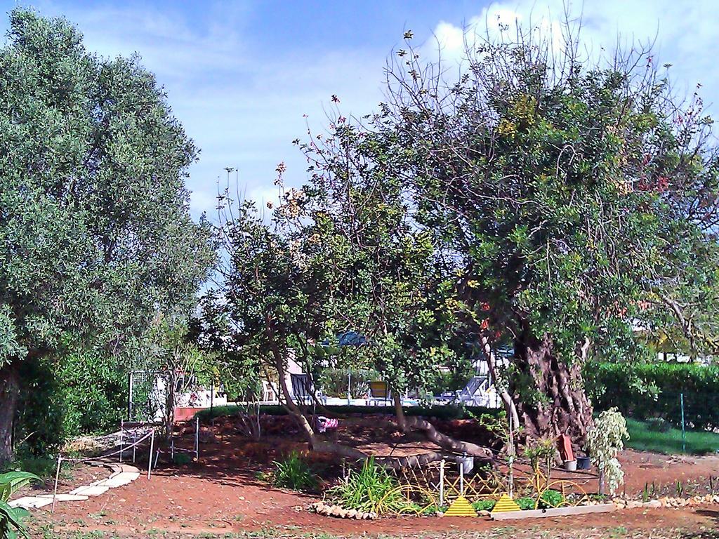 Quinta Casalinho Casa de férias Albufeira