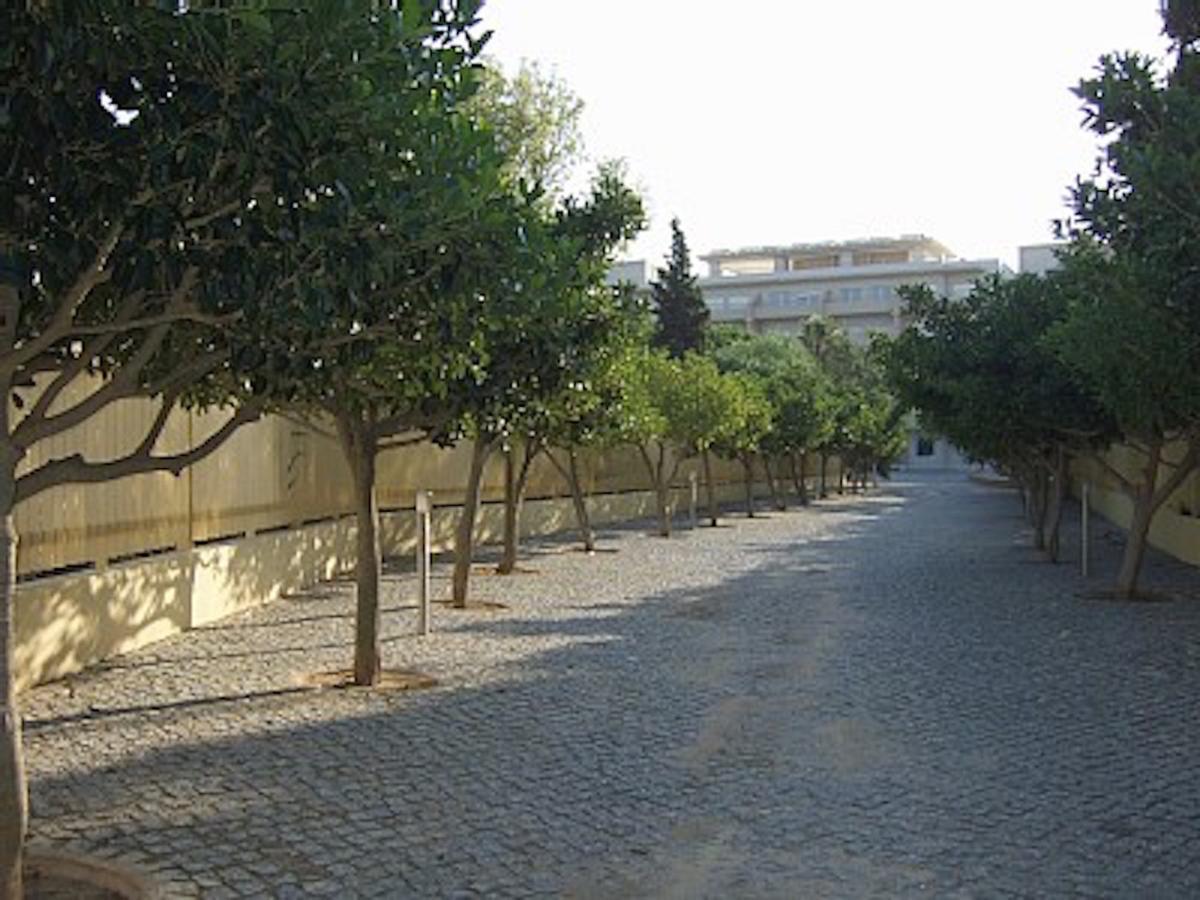 Apartment Quinta Da Barracuda *