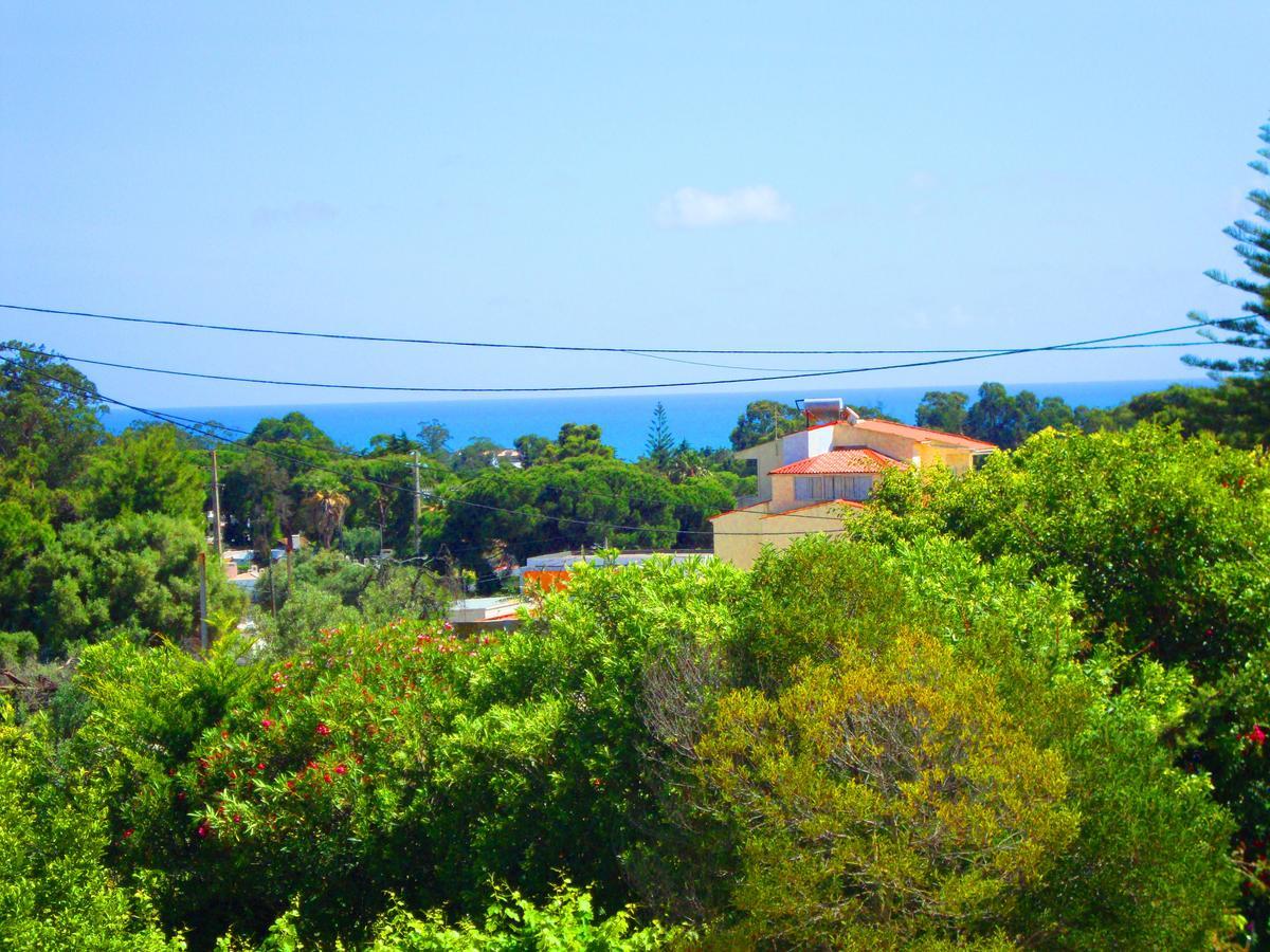 Olsus * Albufeira