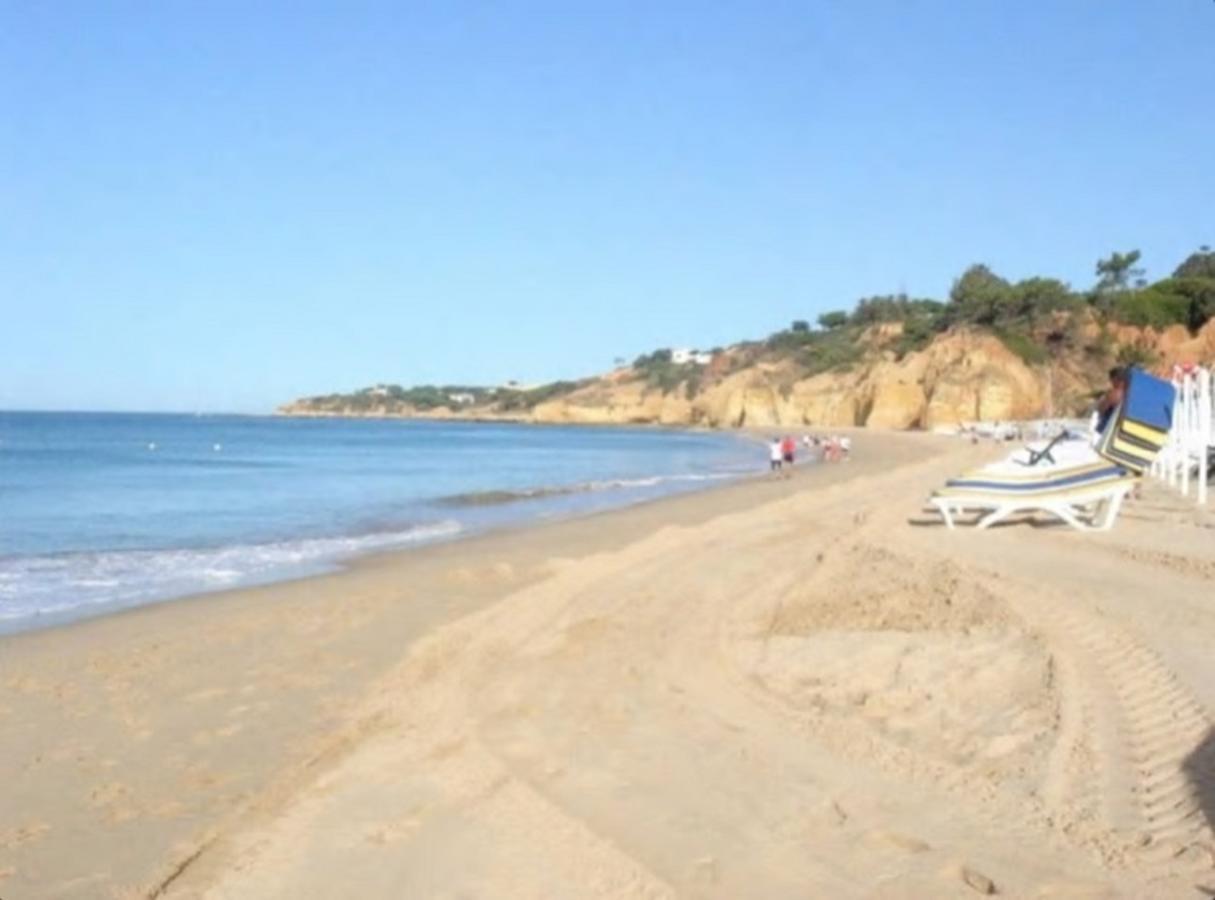 Apartment Excelstay - Balaia
