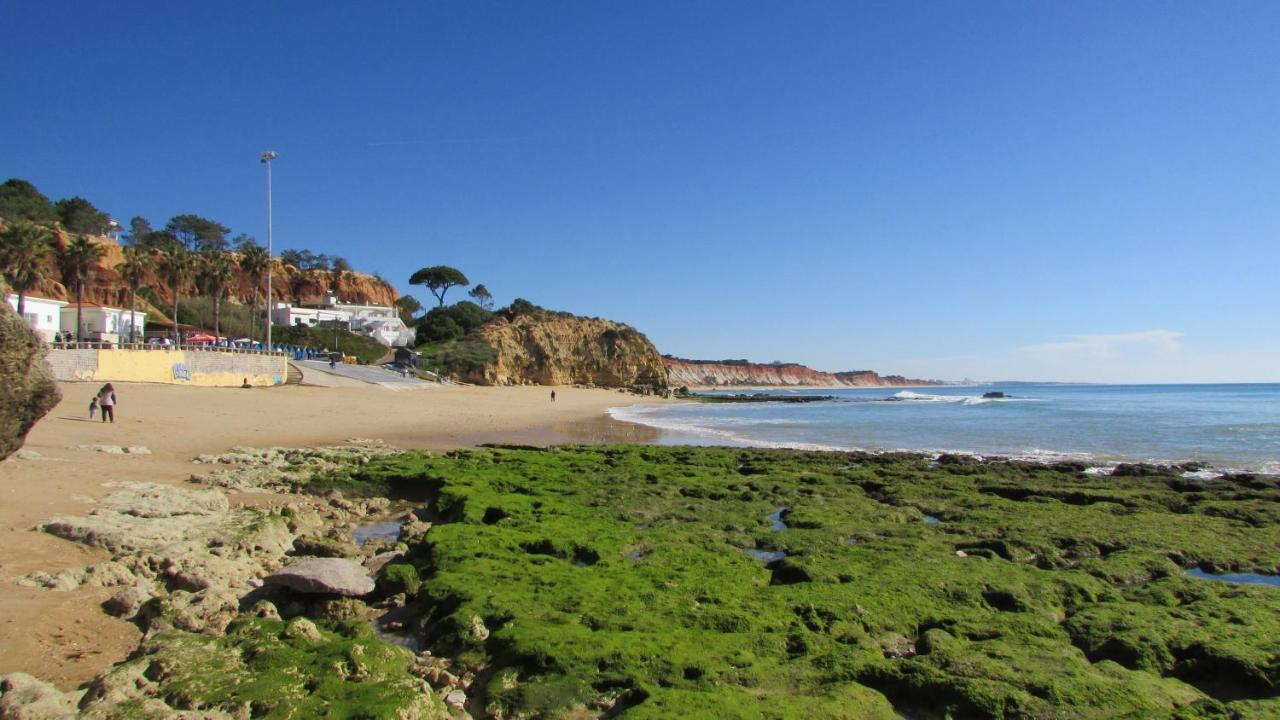 Cabrita Albufeira