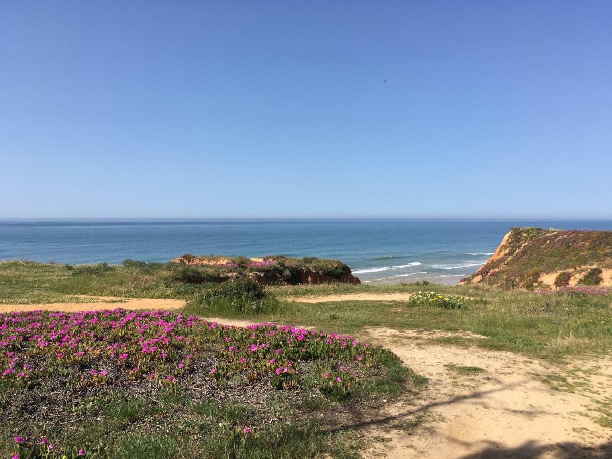 Alfamar2108 Holiday home Albufeira