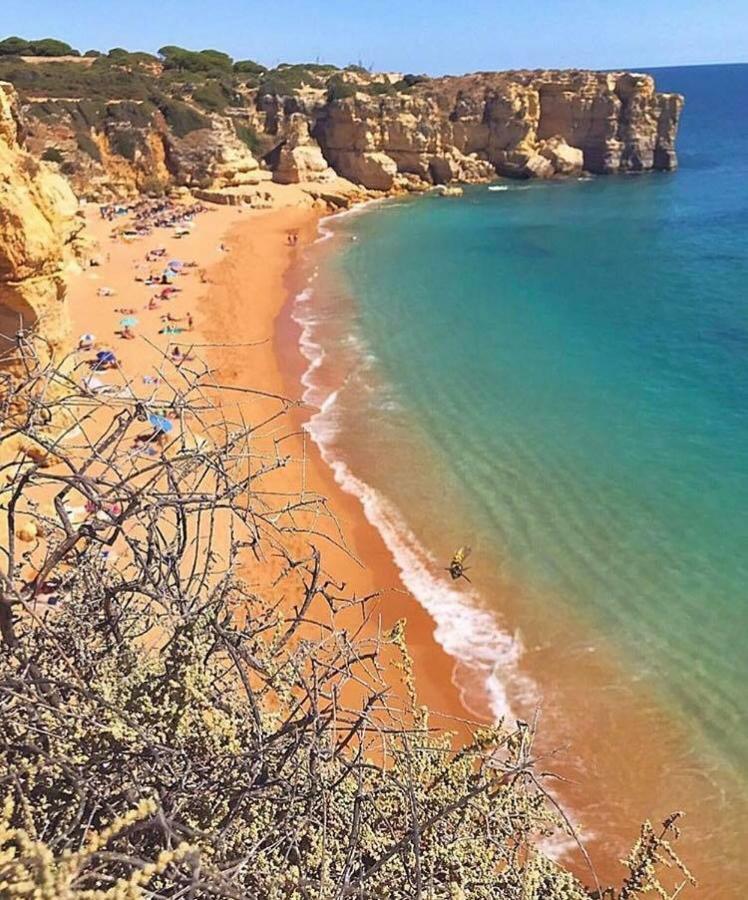 Bonita Albufeira