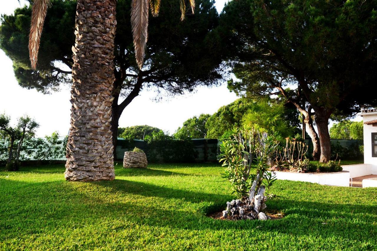 Sailing Studio Acoteias